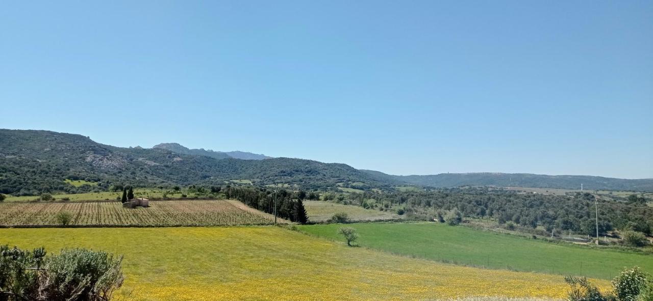 San Leonardo Country House Calangianus Екстер'єр фото